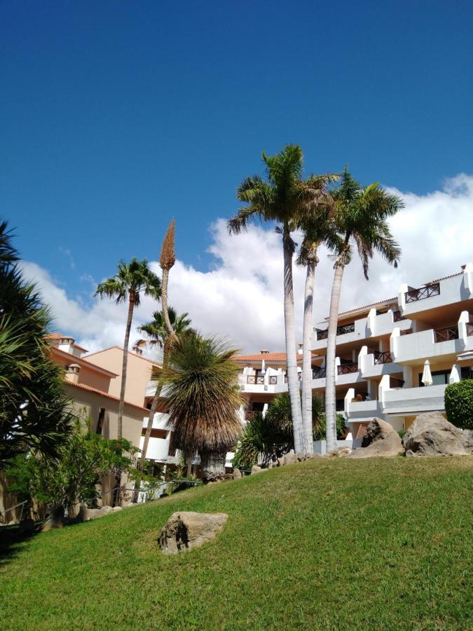 Forest Flat - Big Heated Pool, Terrace, Tv Channels, Golf Courses San Miguel de Abona Zewnętrze zdjęcie
